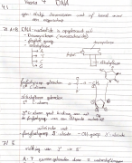 Biologie voor jou 5vwo thema 4: DNA