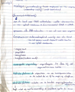 Biologie voor jou 4vwo thema 5: ecologie