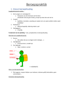 Beroepspraktijk 1 (SRW)