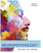 Hoofdstuk 23; Brain development and plasticity; letterlijke vertaling inclusief de afbeelding 