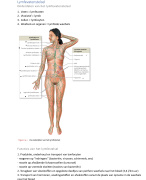 het lymfestelsel 