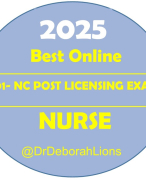 Post Nursing Assignment