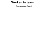Samenvatting Werken in team - Thomas more