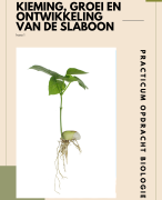 Practicum Biologie – Kieming en Groei van de Slaboon | Havo 1