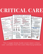 Critical Care Nursing Basics	