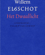 Diepgaande analyse Het Dwaallicht | 5VWO, cijfer: 9,0