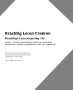 Krachtige leeromgeving samenvatting
