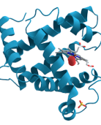  Biomoleculen & Cellen - Biomoleculen H2 - Aminozuren en Eiwitten