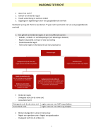 Samenvatting Inleiding tot recht Semester 1 (eerste jaar Accountancy-Fiscaliteit AP Hogeschool)