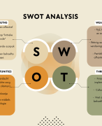 SWOT-analyse beroepsvraagstuk Social Work