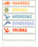 Dagritmekaarten zeedieren thema 