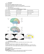 Volledige samenvatting Anatomie Neurowetenschappen