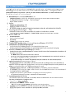 RP 2 Strafprocesrecht