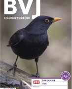 Biologie Voor Jou (7e editie): samenvatting 5VWO - Thema 11: Planten + extra anatomie plant