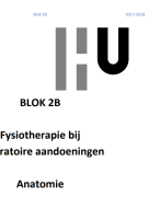RCA IVT BLOK 2 Jaar 2 COPD