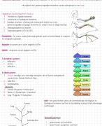 Celbiologie  volledige samenvatting