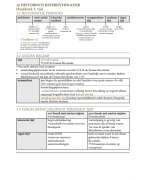 Volledige samenvatting Geschiedenis – 3e graad STW (Examencommissie)