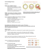 Biology of Cancer (RUG) Complete Summary