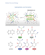 Medical Structural Biology (RUG) Complete Summary