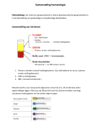 samenvatting hematologie 