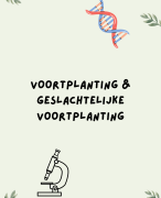 HAVO Biologie – Voortplanting (Bespaart uren studietijd + Oefenvragen)Veelgemaakte fouten!!!