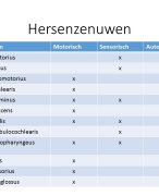 12 Craniale Zenuwen