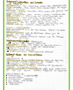 ALLE EXAMENSTOF nederlands havo samenvatting