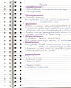 Geschiedenis bedrijfswetenschappen examencommissie 