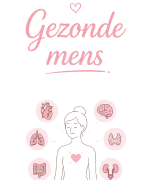 Samenvatting Gezonde mens 2025-2026