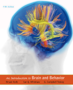 Summary of chapters 5 until 8 of An Introduction to Brain and Behaviour 