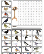 Quiz woordzoekers voor groep 5-6-7-8 - vogels