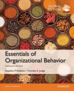 Organisational Behavior summary 