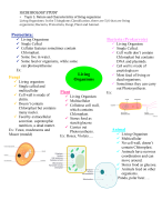 ESSENTIAL CELL BIOLOGY  VOCABULARY EXAMINATION  GRADED A+ YEAR 2024  QUESTIONTION WELL WRITTEN  AND DETAILED ANSWER