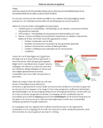 Zelftoets 4: cel cyclus en apoptose