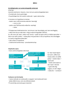 MPO 2 (slides + artikels)