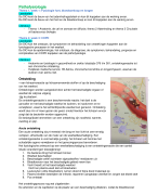 Voeding en Dietetiek - Hoofdfase 1 P1 Samenvatting Pathofysiologie 2017 - 2018
