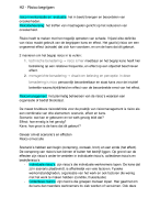 Samenvatting Veiligheid in organisaties