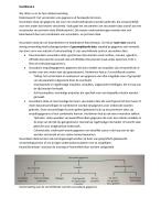 Samenvatting Metholodologie Hfd. 6,7,8,9 en Hfd. 8 Neuman
