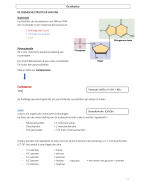 biologie: de celcyclus 