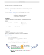 chemie: de eiwitsynthese 