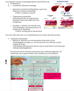 Samenvatting Cellen & weefsels en immunologie (MZK-1)