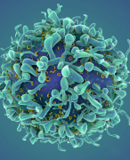 Immunology summary (NWI-BB019B) Part I