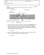 Respiratieonderzoek P + LH Respiratie (Re) - Samenvattingen Diergeneeskunde