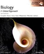 Mastering biology H40 untill H50