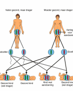Biologie Nectar VWO4 Hoofdstuk 7