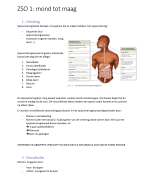 samenvatting anatomie (urinair stelsel)