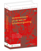 Samenvatting verbintenissen uit de wet en schadevergoeding (druk 8)
