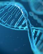 Biologie VWO 4 Thema 4 Genetica (Biologie voor jou)