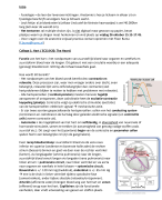 Samenvatting Humane Anatomie en Fysiologie