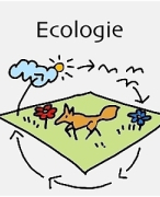 4 havo Biologie voor jou thema 7 Ecologie